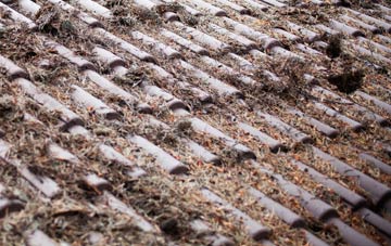 Samhla roof cleaning companies