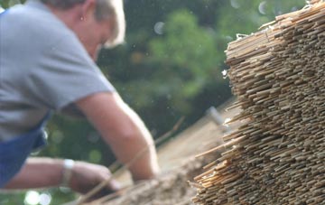 professional Samhla thatchers