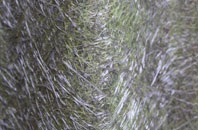 Samhla fibreglass roof work